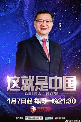 谢文东在线观看第一季
